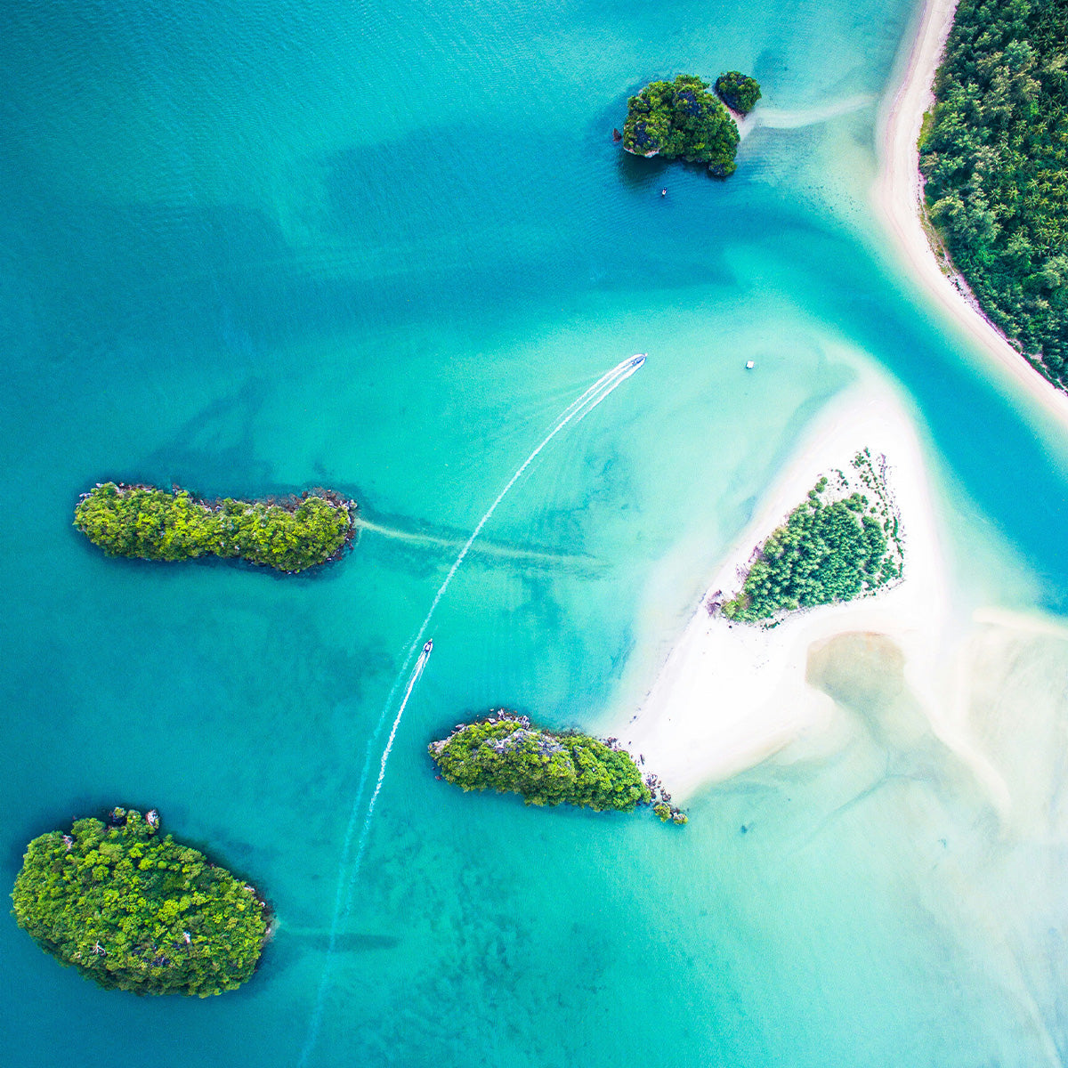 North/South America, Caribbean[37 countries]