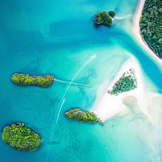 North/South America, Caribbean[37 countries]