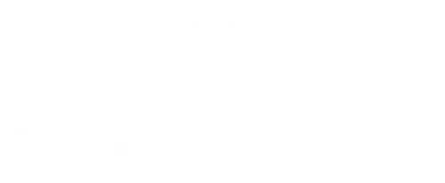 Skylink WiFi (eSIM)